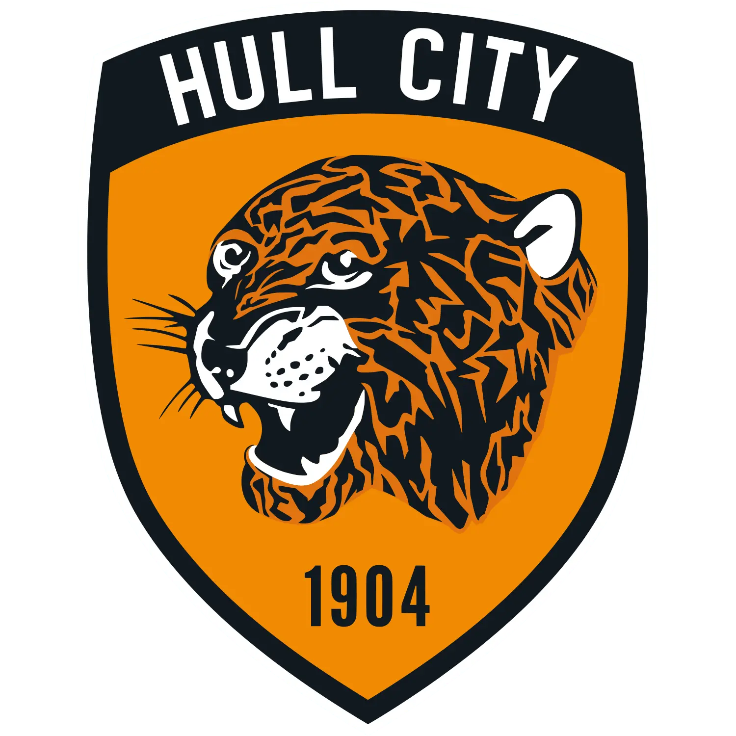 Hull City